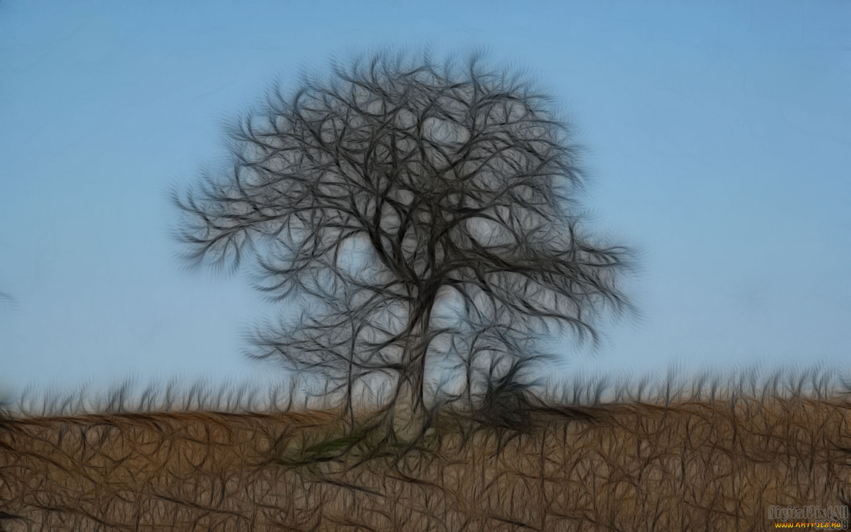 3, , nature, landscape, 